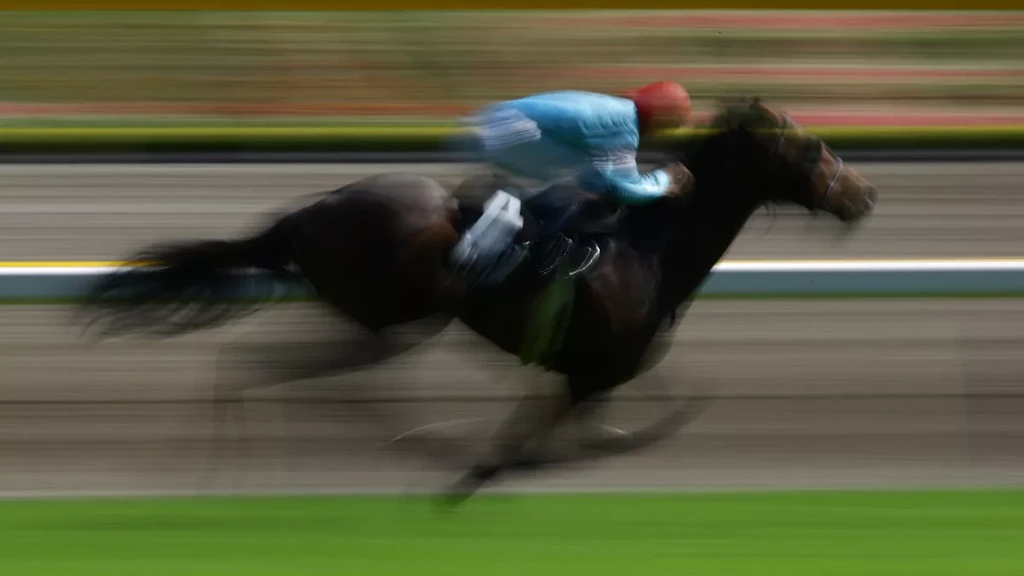 Racepaard met naam die verwijst naar Hitler krijgt nieuwe naam